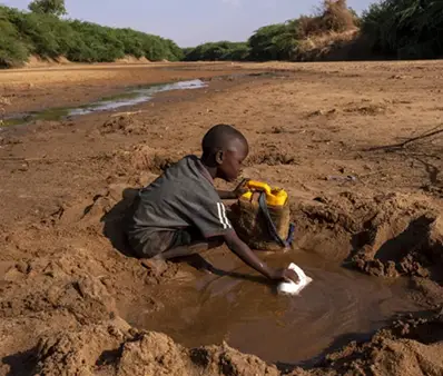 child droup scarcity